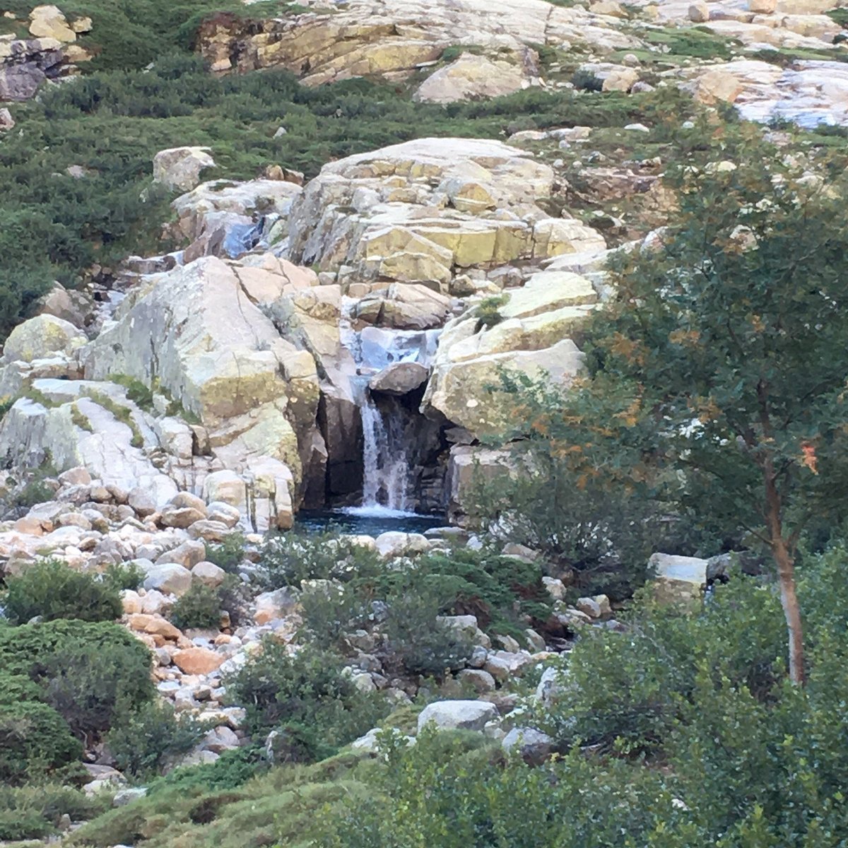 Parc Naturel Régional de Corse waterval