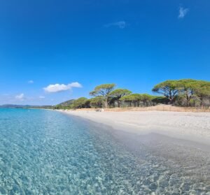 Plage de Palombaggia Het mooiste strand van Corsica